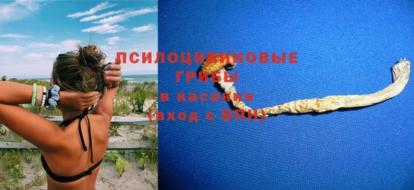 а пвп мука Вязьма