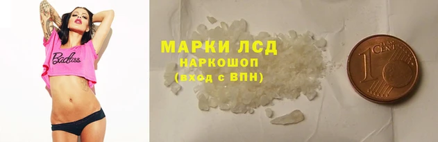 стаф Вяземский