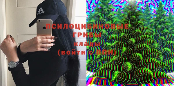 стаф Вяземский