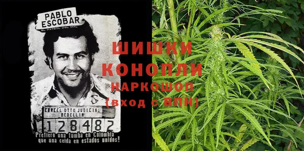 стаф Вяземский
