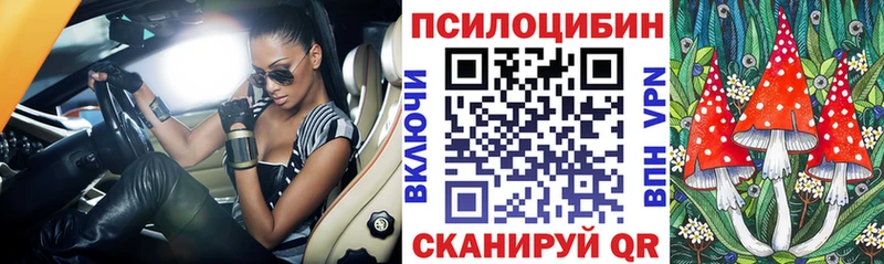 сколько стоит  Очёр  Галлюциногенные грибы Cubensis 